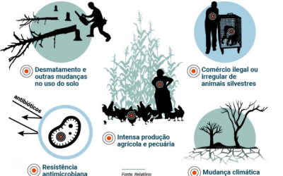 PNUMA lista 6 fatos sobre coronavírus e meio ambiente