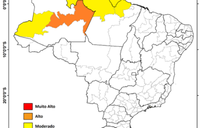 Previsão de riscos geo-hidrológicos